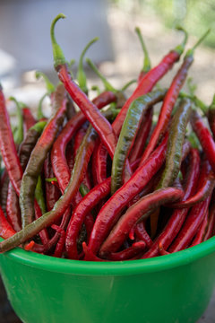 Bowl of red chiles prepped for cooking in Mexico