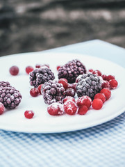Blue and brown background. White plate with Cranberries and blueberries