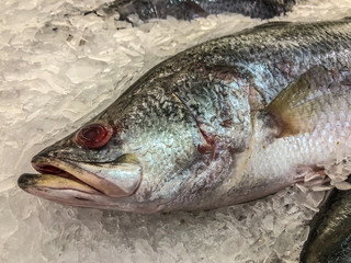 Frozen sea bass in maket Thailand
