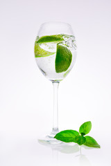 Lime in carbonated water with a mint leaf