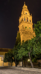 Tour de la Mosquée cathédrale de Cordoue de nuit