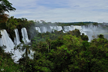 Waterfalls crushing into the water in green jungle, Argentina, Iguazú