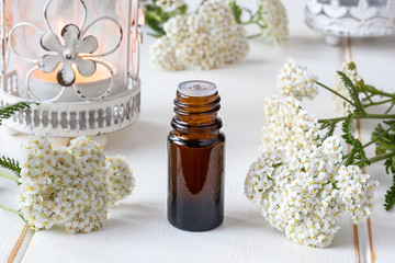 A bottle of essential oil with fresh blooming yarrow