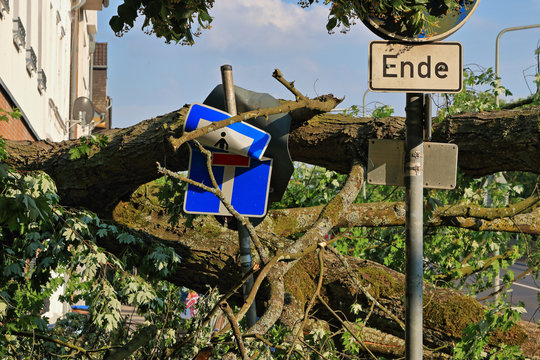 Durch Sturm und umgekippten Baum zerst&ouml;rte Stra&szlig;enschilder