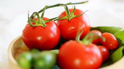 fresh organic vegetable. Tomatoes, cherry tomatoes, cucumber with white background
