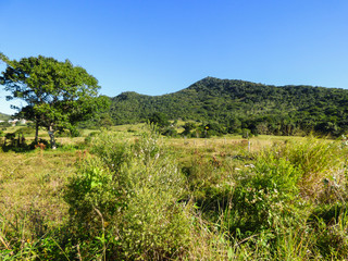 Fototapeta na wymiar Landscape of the countryside in Florianopolis, Atlantic Forest biome