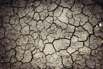 dry surface clay with crack