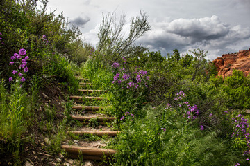Picturousque steps up at Ayres Natural Bridge park