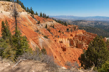 Ponderosa Canyon