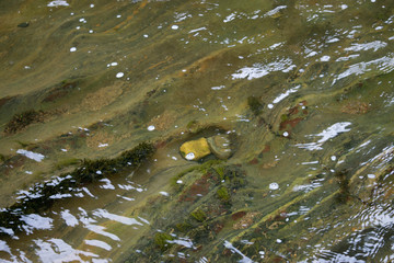 Eroded stones on a river bed.