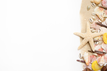 Fototapeta na wymiar sand starfish seashell on white background