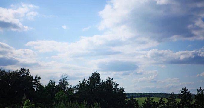 Quickly floating clouds over the field and forest at day