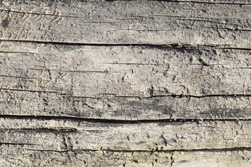 Old Wood Texture