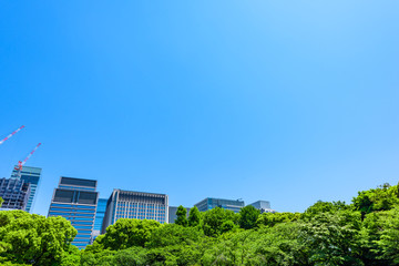 初夏の高層ビル群　Tokyo city landscape and fresh green in Otemachi Marunouchi.