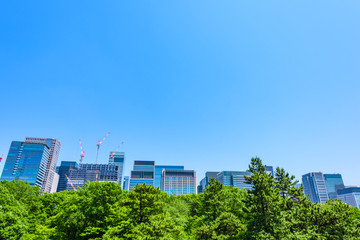 Obraz premium 初夏の高層ビル群 Tokyo city landscape and fresh green in Otemachi Marunouchi.