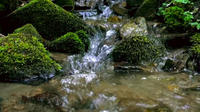 Mountain river - stream flowing through thick green forest, Bistriski Vintgar, Slovenia, zoom out shot