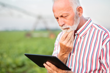 Serious senior agronomist or farmer contemplating while using a tablet in soybean field. Irrigation...