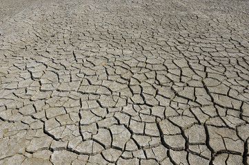 The parched soil