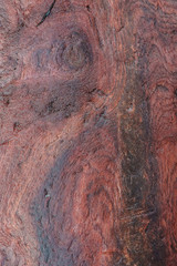 Redwood grain closeup