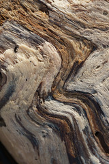 Wood grain close up