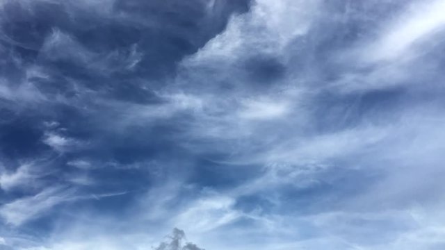 Soft summer skyscape with wispy clouds against blue sky dotted by seagulls in time-lapse