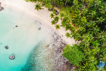 Tropical white sand bech with coconut palm tree background idyllic turquoise sea