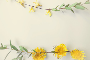creative composition of a fletle of spring flowers on a white background
