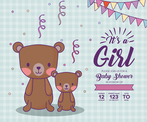 Baby shower invitation with its a girl concept with cute bears over blue background, colorful design. vector illustration