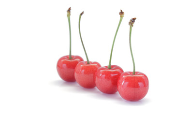 さくらんぼ チェリー 夏 白背景