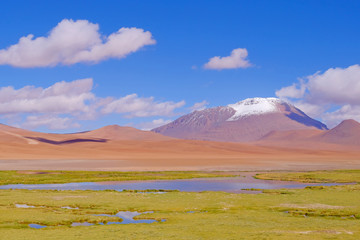 Beautiful landscape with puna grassland, snow-covered mountains and lagoon, near Paso De Jama, Chile, South America