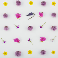 Obraz premium Top view of a flower composition on a white background. A pattern of flowering buds of garden plants