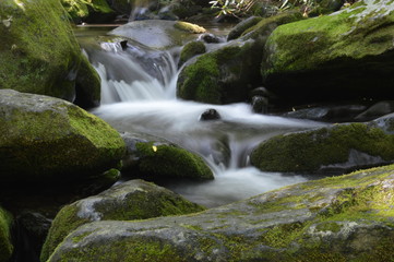 the stream