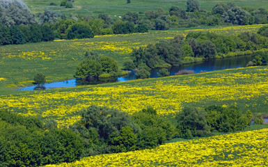 Landscape in the valley of the Don River in central Russia. Top view of the spring coastal forest and pond.