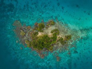 Tiny Island in Tropical Water