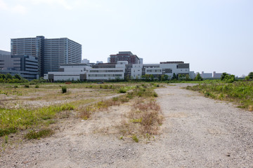 豊洲　更地