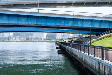 Fototapeta premium 豊洲ぐるり公園