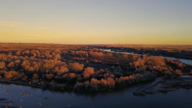 Winter Doves Over Arkansas River