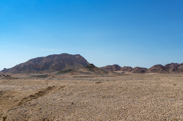 mountain desert landscape, mountains of sandstone, red desert plants, against a cloudless blue sky, southern Sinai, Egypt