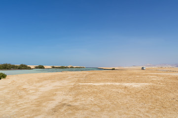 Desert landscape, with a sea estuary, and mangrove trees growing on it, a minibus in the background is driving along a dirt road, against a blue sky and mountains, Ras Mohammed, Egypt.