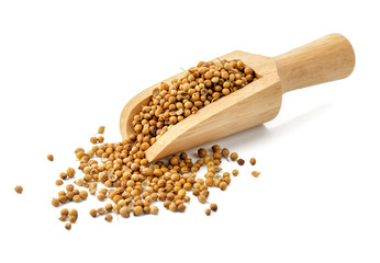 Coriander seeds isolated on white background