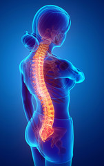 Women Feeling the Back pain