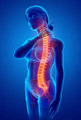 Women Feeling the Back pain