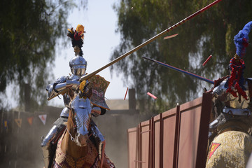 Knights in armor