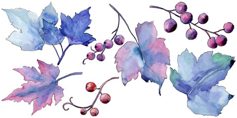Leaves currant in a watercolor style isolated. Aquarelle leaf for background, texture, wrapper pattern, frame or border.