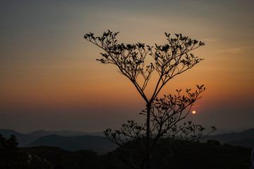The beauty of the sunshine at Nern Chang Suek  hills, Kanchanaburi, Thailand