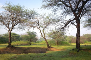 Obraz premium SAMSUNG CSC