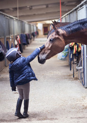 Young girl strokes a big horse before riding