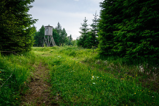 Hochstand zur Jagd im Wald