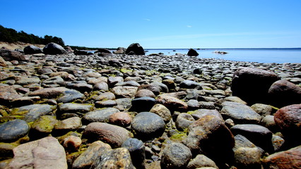Kamienista estońska plaża przy wybrzeżu Bałtyku w piękny, letni, upalny dzień