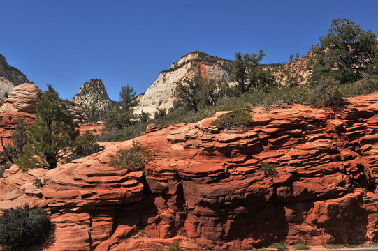 USA. Landscapes of Zion National Park
